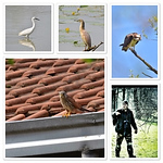 Profile Picture of Giacinto Di Maira (@giacidima) on Flickr