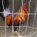Profile Picture of Fernando Basurto (@fernando.basurto.104) on Facebook