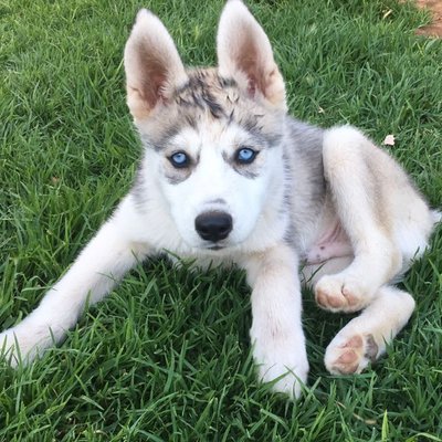 Profile Picture of Neil M Hodge (@NeilMHodge1) on Twitter