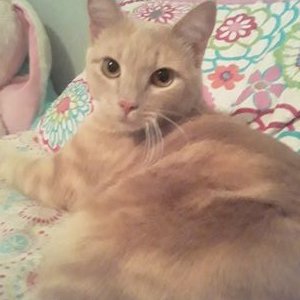 Profile Picture of Chloe Hays (@ChloeHays9) on Twitter