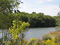 Profile Picture of Desjardins Canalon Wikipedia