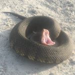 Profile Picture of David Pearce (@dbpearce808) on Instagram