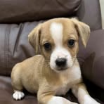 Profile Picture of Bill Livangood (@Bill-Livangood) on Facebook