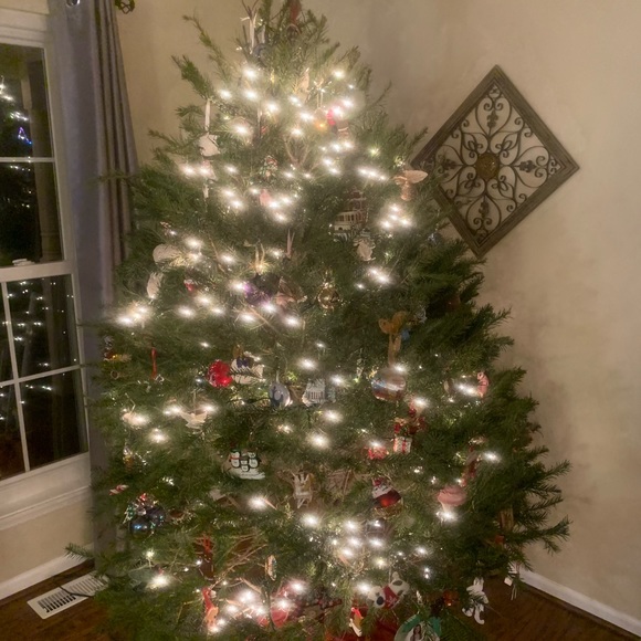 Profile Picture of Jennifer Haskell (@jenhaskell16) on Poshmark