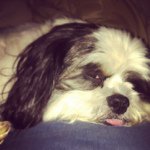 Profile Picture of Zachary Sullivan (@heading_nowhere_slow) on Instagram