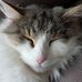 Profile Picture of Rene Brodauf (@rene.brodauf.1) on Facebook