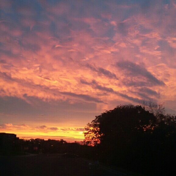 Profile Picture of Yolanda Cantu (@cantuy) on Poshmark