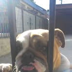 Profile Picture of Guy Blunt (@guy.blunt.1) on Facebook