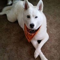 Profile Picture of Paul Trzcinski Sr. (@paul-trzcinski-sr) on Quora