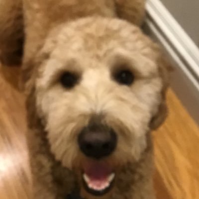 Profile Picture of Andrew Spath (@spath_andrew) on Twitter