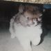 Profile Picture of Constance Maloney (@constance.maloney.56) on Facebook
