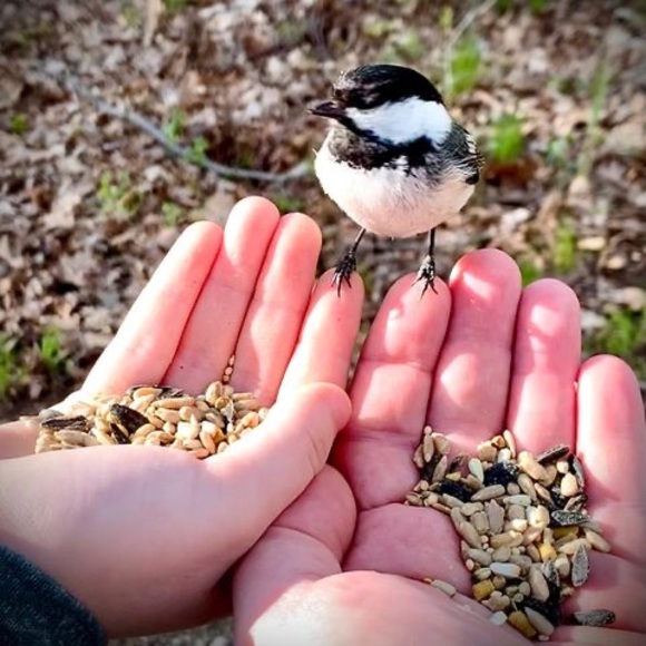 Profile Picture of Jim Fontaine (@464valve) on Poshmark