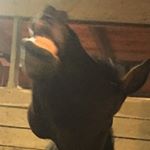 Profile Picture of Derick (@derick.cheney) on Instagram