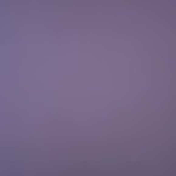 Profile Picture of Tonya Petrillo (@yzvette8) on Poshmark