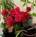 Profile Picture of Mona Botros (@mona.botros.10) on Facebook