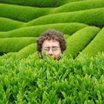 Profile Picture of Andrew Snavely (@majestea3) on Instagram