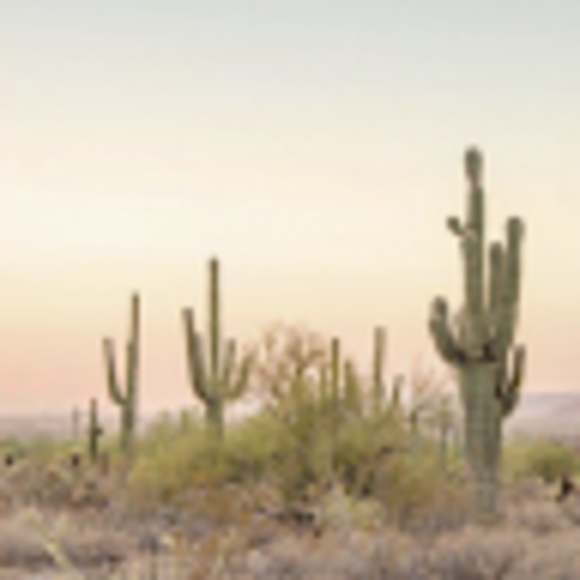 Profile Picture of Katie Moyes (@katieemoyes) on Poshmark