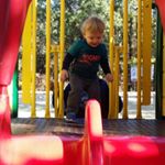 Profile Picture of Debra Brand Herlacher (@dherlacher) on Instagram