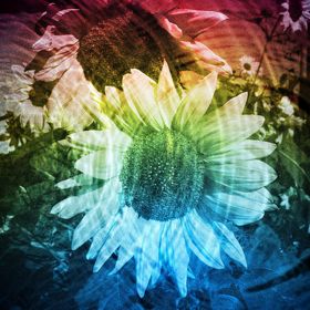 Profile Picture of Cindy Wells (@blachly0961) on Pinterest