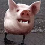 Profile Picture of Brady Hamby (@r6_geuz) on Instagram