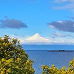 Profile Picture of Monica Alexander (@monicaalexander5821) on Instagram