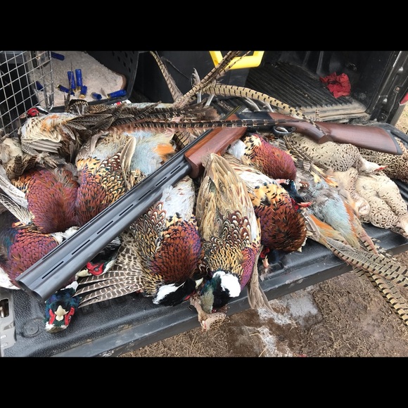 Profile Picture of Jeremy Meyer (@meyerman101) on Poshmark