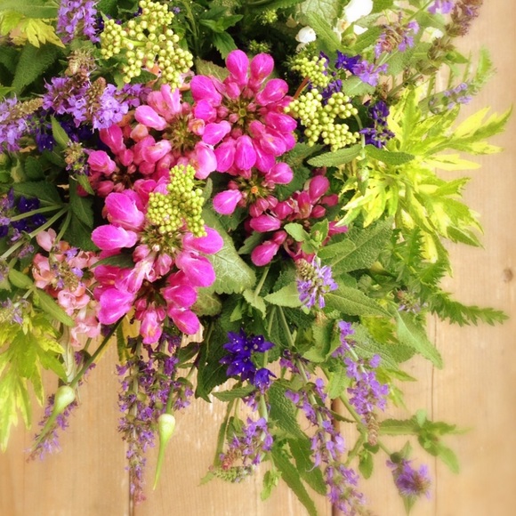 Profile Picture of Rahel Fanger (@raheldaria) on Poshmark