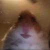 Profile Picture of Vinnie hacker🥵🔥 (@@jennahacker) on Tiktok