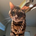 Profile Picture of Derick Thompson (@dtown503) on Instagram