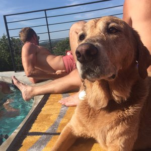 Profile Picture of Matthew Mielcarek (@mmielcark) on Myspace