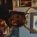Profile Picture of Zachary Lile (@zachary.lile.357) on Facebook