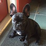 Profile Picture of Robin Moberly (@robinmoberly) on Instagram