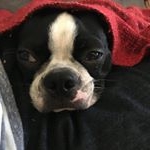 Jared Hager - Instagram Profile Picture of Jared Hager (@frank_n_taffy) on Instagram