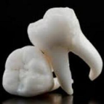 Profile Picture of David Darab (@wisdomtoothdoc) on Twitter
