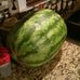 Profile Picture of Lewis Edmond (@lewis.edmond.585) on Facebook