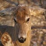 Jim McGowan - Instagram Profile Picture of Jim McGowan (@luckymc6468) on Instagram