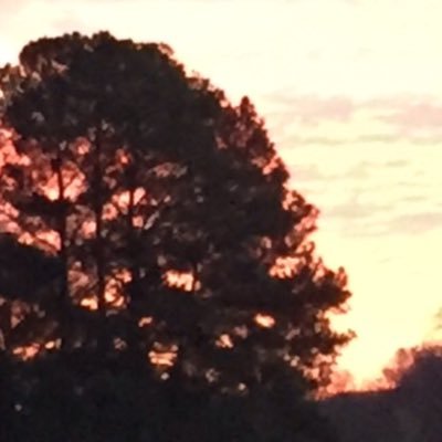 Profile Picture of Jeffrey Wilks (@jeffreywks99) on Twitter