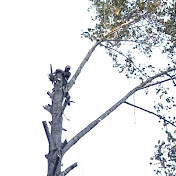 Profile Picture of SAMUEL SPATES (@samuelspates149) on Youtube