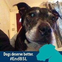 Profile Picture of Marsha Jones (@marsha-jones-17) on Quora