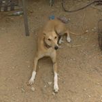 Profile Picture of John Vanderham (@vanderhamjohn) on Instagram