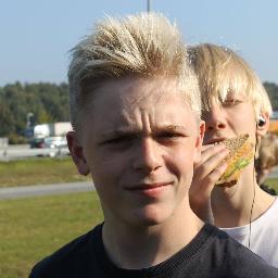 Profile Picture of Sebastian Hansen (@ImGonnaTakeAll) on Twitter