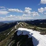 Rory Beard - Instagram Profile Picture of Rory Beard (@beardrory) on Instagram