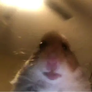 Profile Picture of user405373hemstremo72 (@hemstremo72) on Tiktok