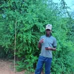 Profile Picture of Tiger Son (@Tiger-Son) on Facebook