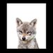Profile Picture of Constance McGrath (@cmcgrath233745) on Pinterest