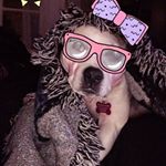 Profile Picture of Whitney Gee (@whitney.gee.792) on Instagram