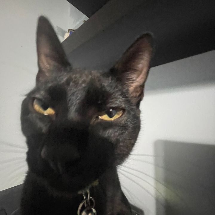 Profile Picture of Trevorr (@trevorr.romeroo) on Tiktok