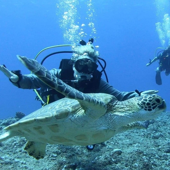 Profile Picture of Stephanie Goodenough (@skgoodenough) on Poshmark