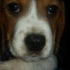 Profile Picture of Adam Kaye (@@adamkaye6) on Tiktok