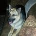 Profile Picture of Phyllis Parsons (@phyllis.parsons.334) on Facebook